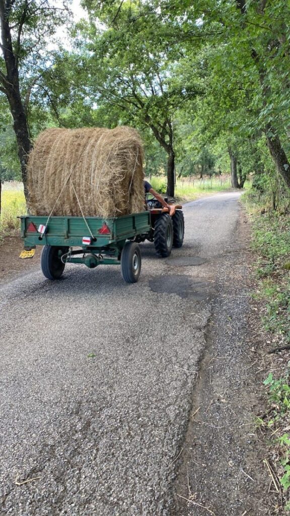 Day 11 Via Francigena (photo 28)
