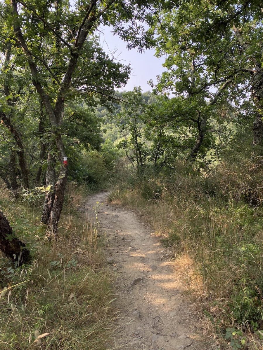 Day 7 Via Francigena