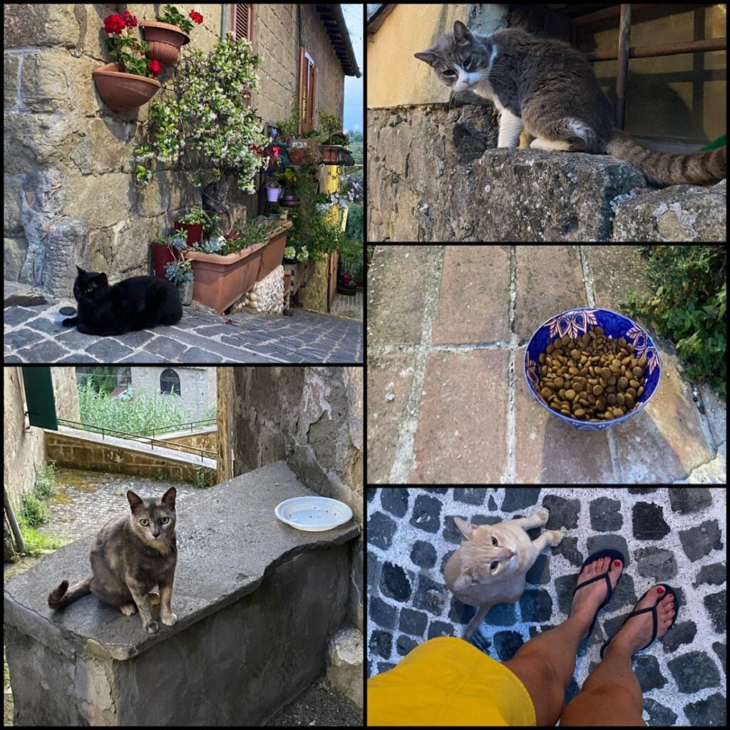 Day 11 Via Francigena (photo 18)