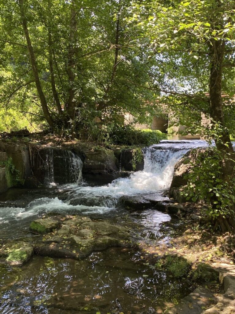 Day 11 Via Francigena (photo 30)