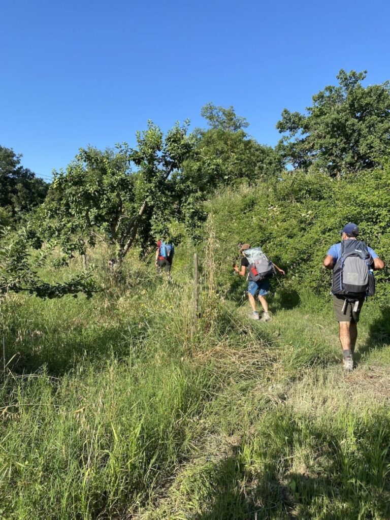 Day 3 Via Francigena (photo 5)