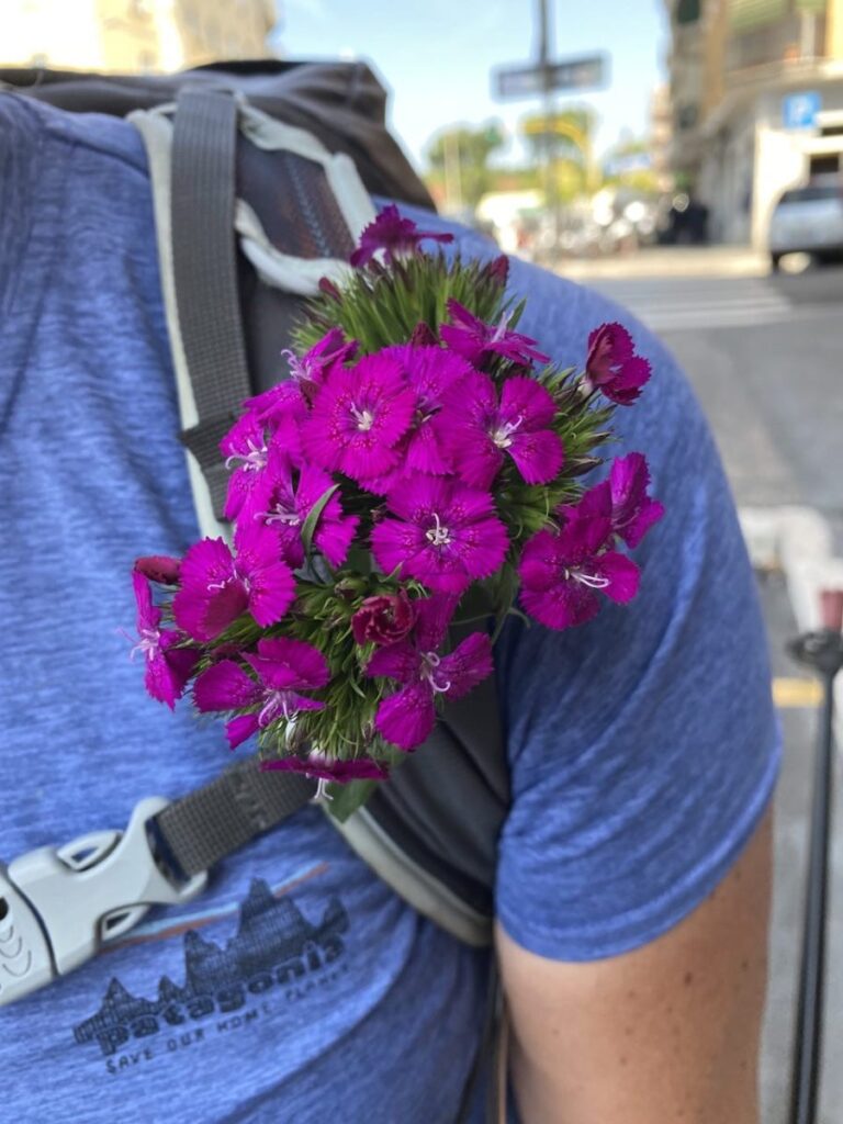 Day 13 Via Francigena (photo 31)