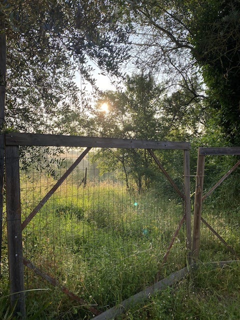 Day 1 Via Francigena (photo 6)