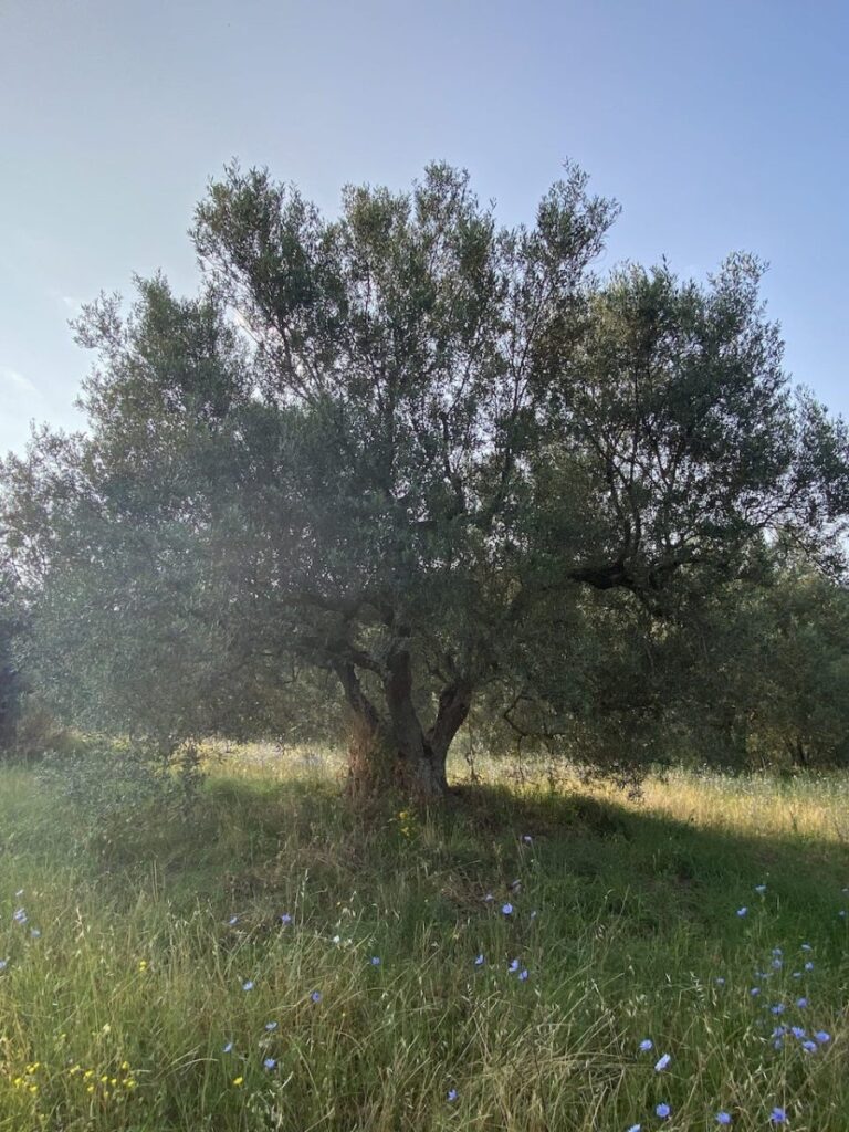 Day 7 Via Francigena (photo 35)