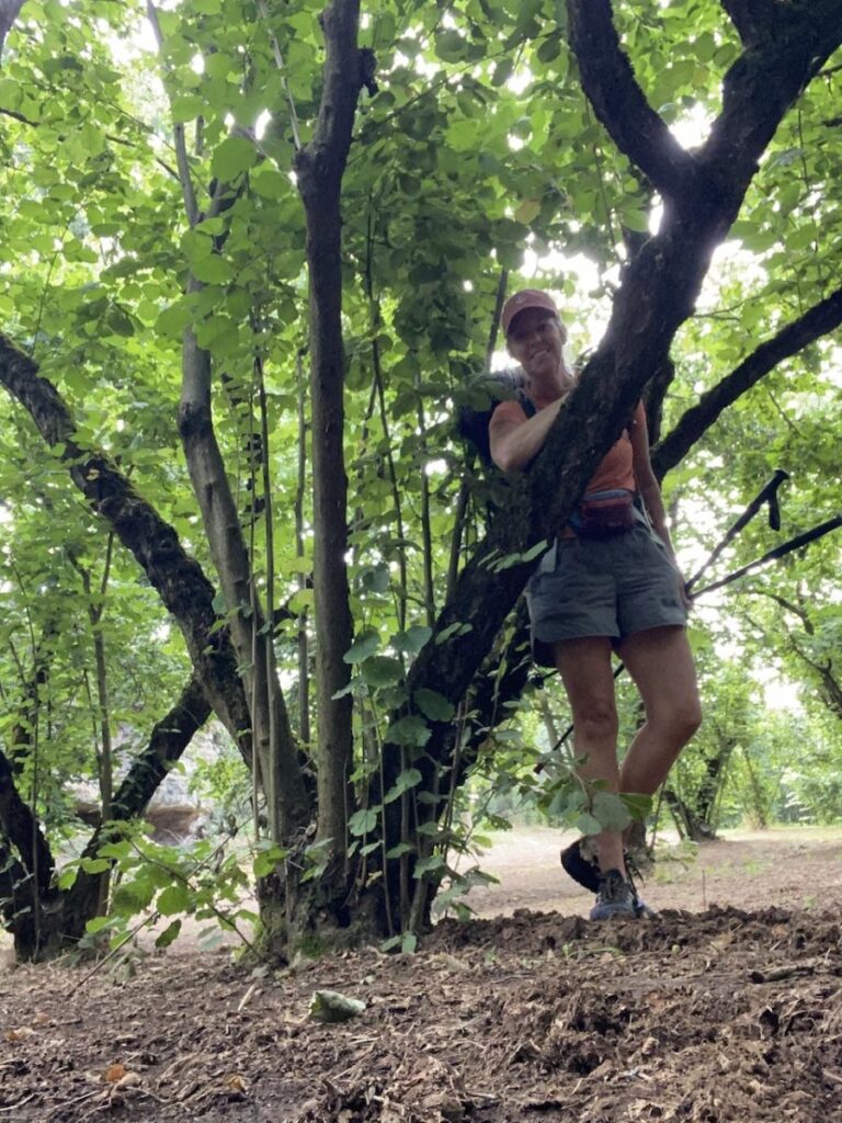 Day 10 Via Francigena (photo 43)
