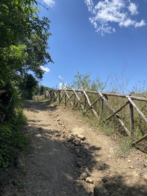 Day 12 Via Francigena (photo 11)