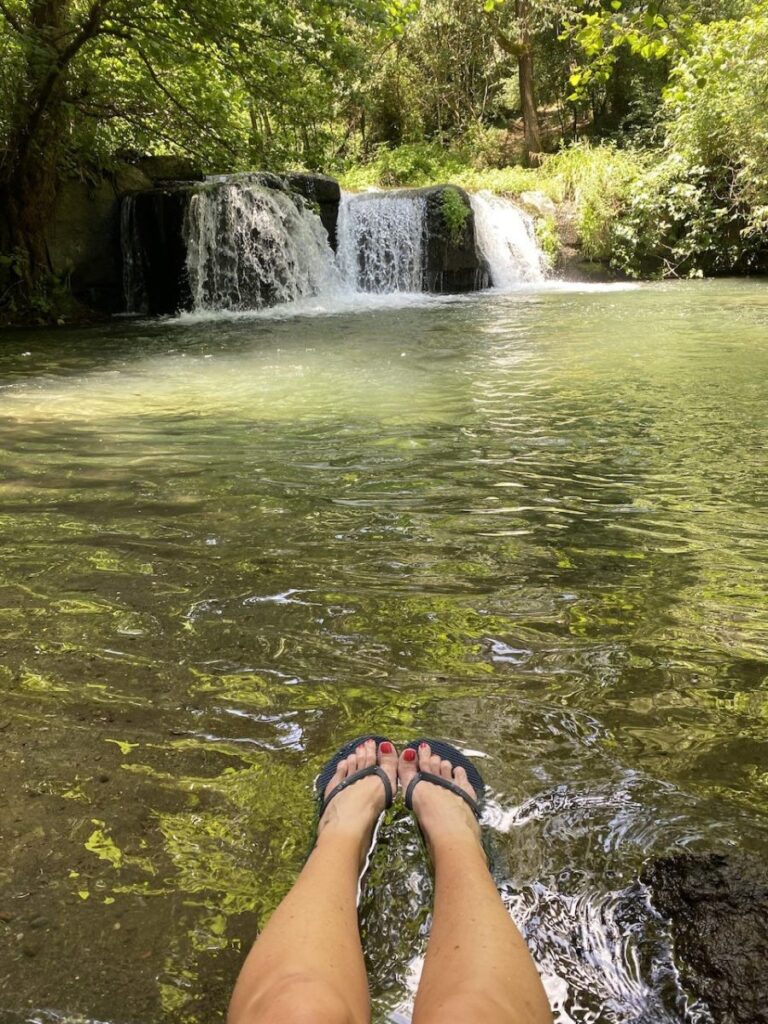 Day 11 Via Francigena (photo 31)