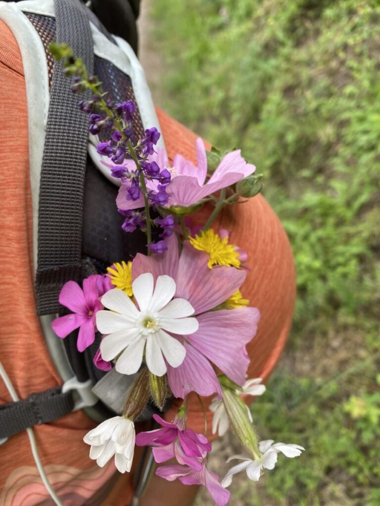 Day 10 Via Francigena (photo 10)