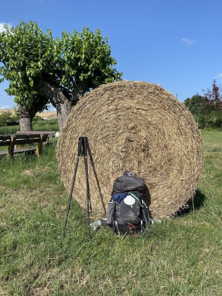 Day 1 Via Francigena (photo 4)