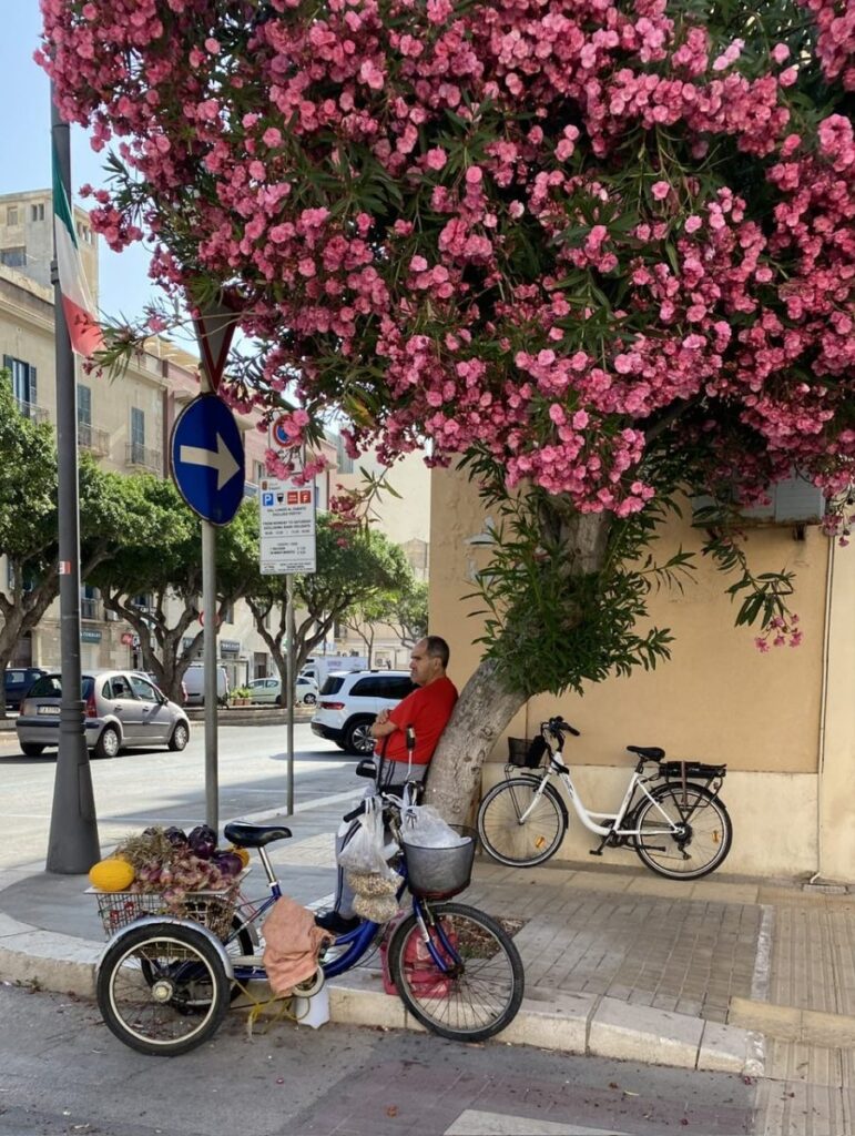 Picture it Sicily…2023, Trapani, Sicily (photo 26)