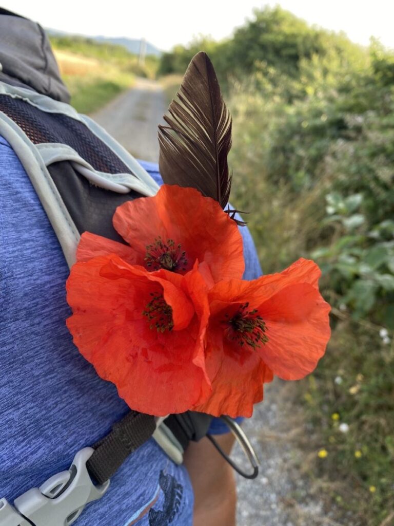 Day 6 Via Francigena (photo 27)