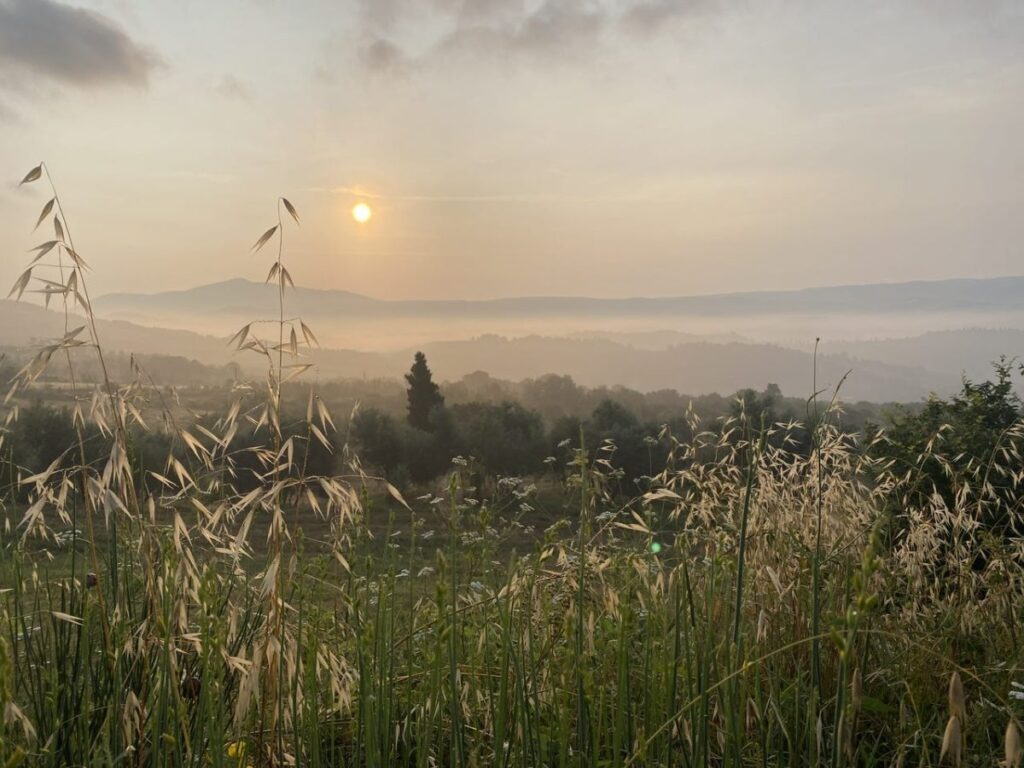 Day 5 Via Francigena (photo 36)