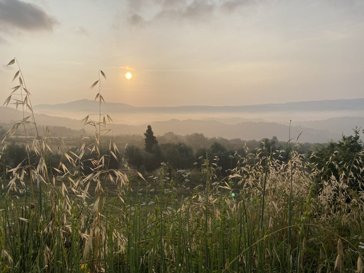 Day 5 Via Francigena