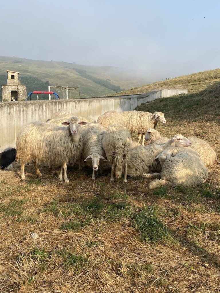 Day 5 Via Francigena (photo 31)