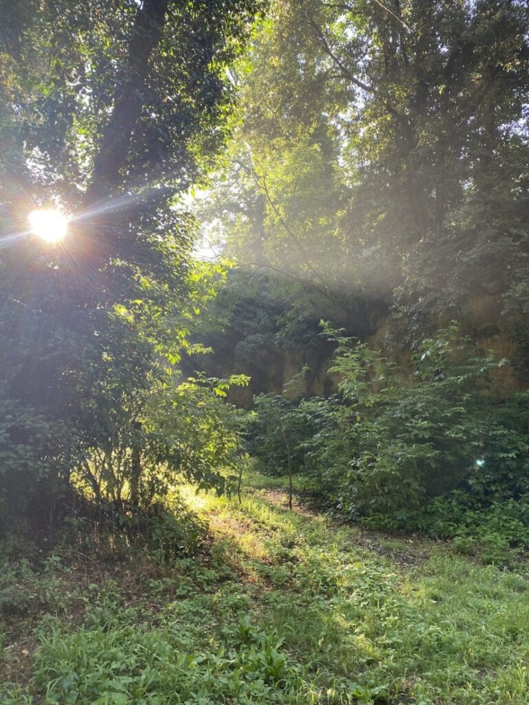 Day 9 Via Francigena (photo 27)