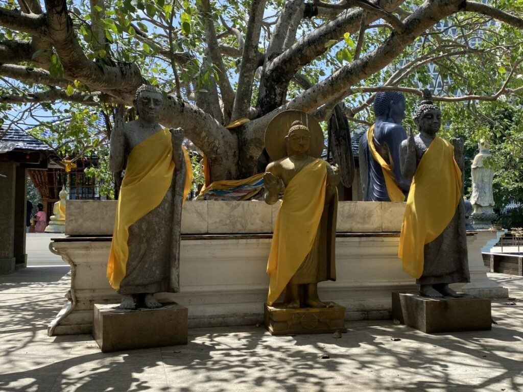 Chaos vs. Calm, Colombo, Sri Lanka (photo 9)