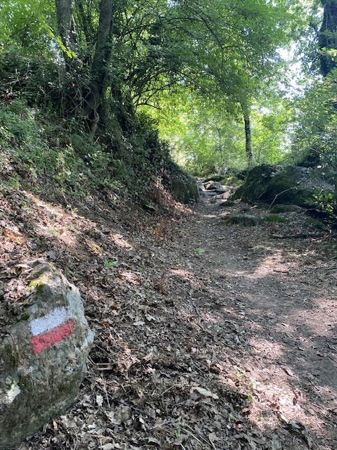Day 6 Via Francigena (photo 10)