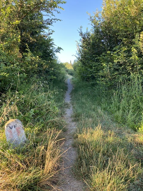 Day 2 Via Francigena (photo 11)