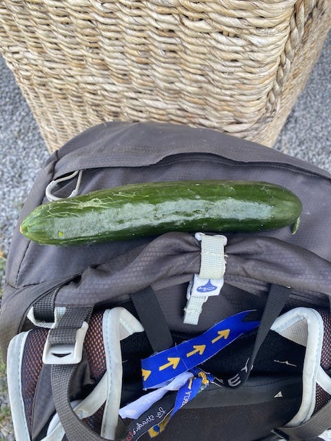 Day 5 Via Francigena (photo 19)