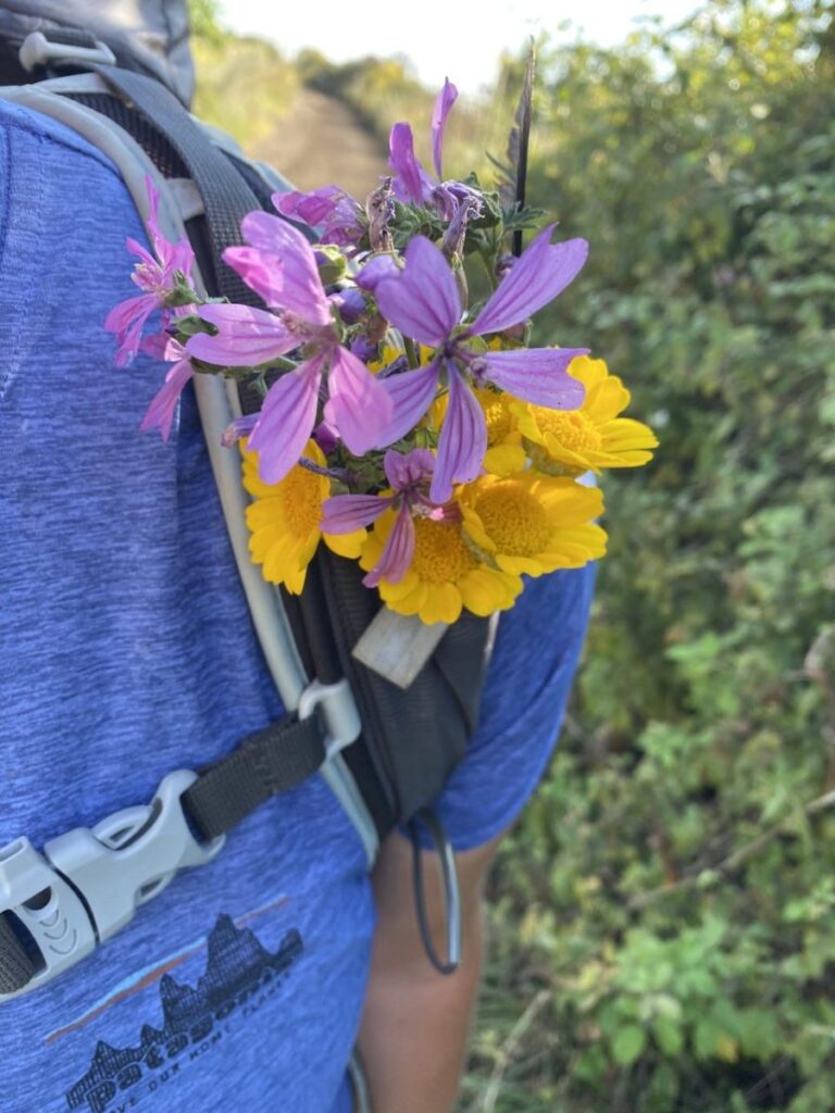 Day 9 Via Francigena (photo 10)
