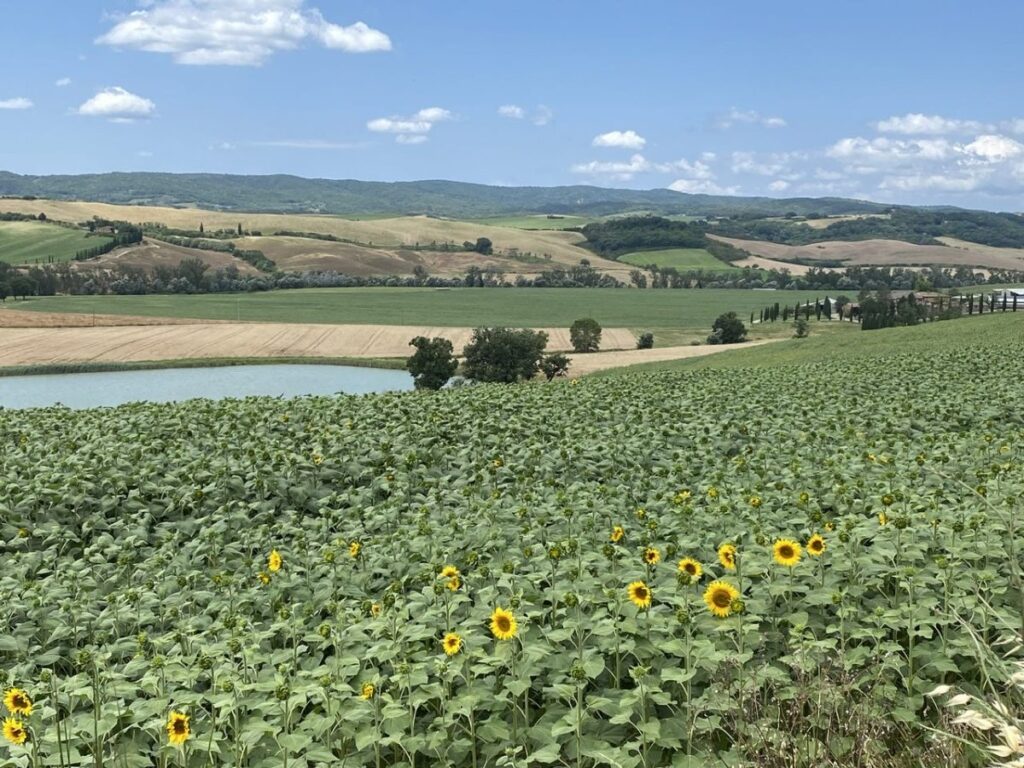 Day 1 Via Francigena