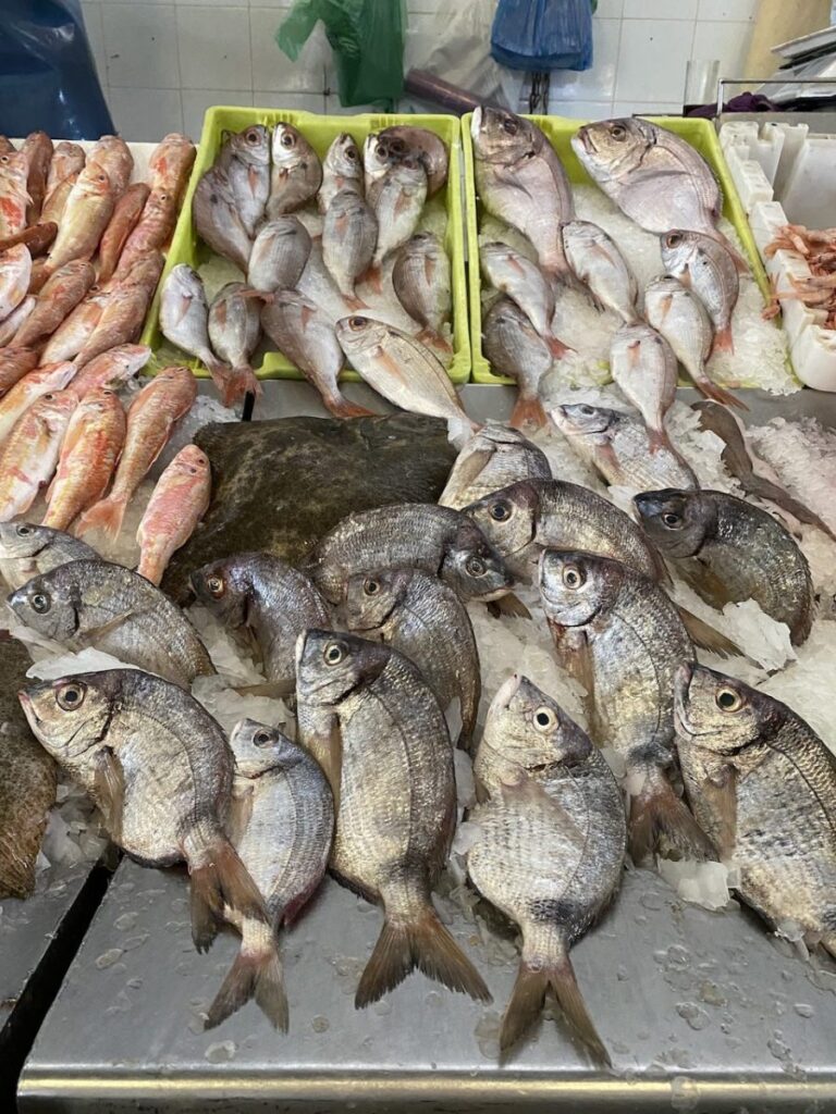 Morocco!, Tangier, Morocco (photo 19)