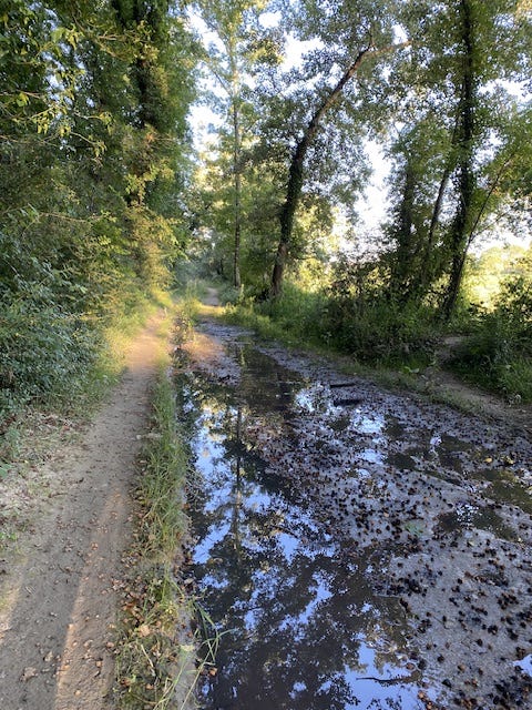 Day 2 Via Francigena (photo 9)