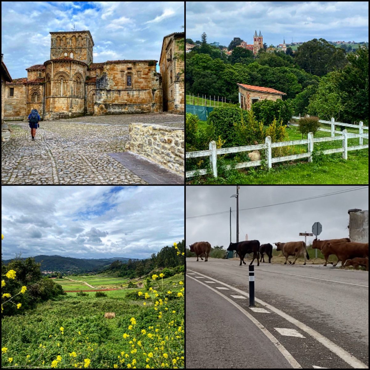 Day 16 El Camino del Norte