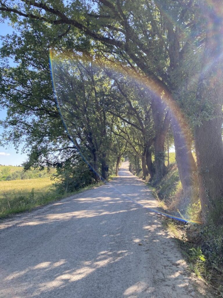 Day 2 Via Francigena (photo 21)