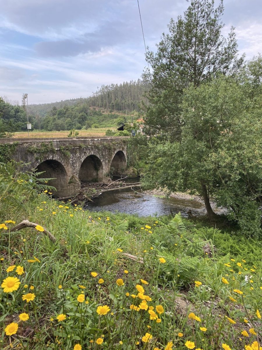 Off the Camino path