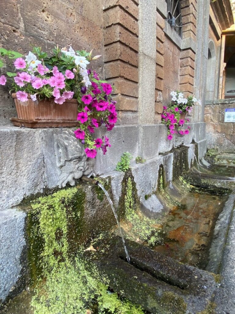 Day 6 Via Francigena (photo 33)