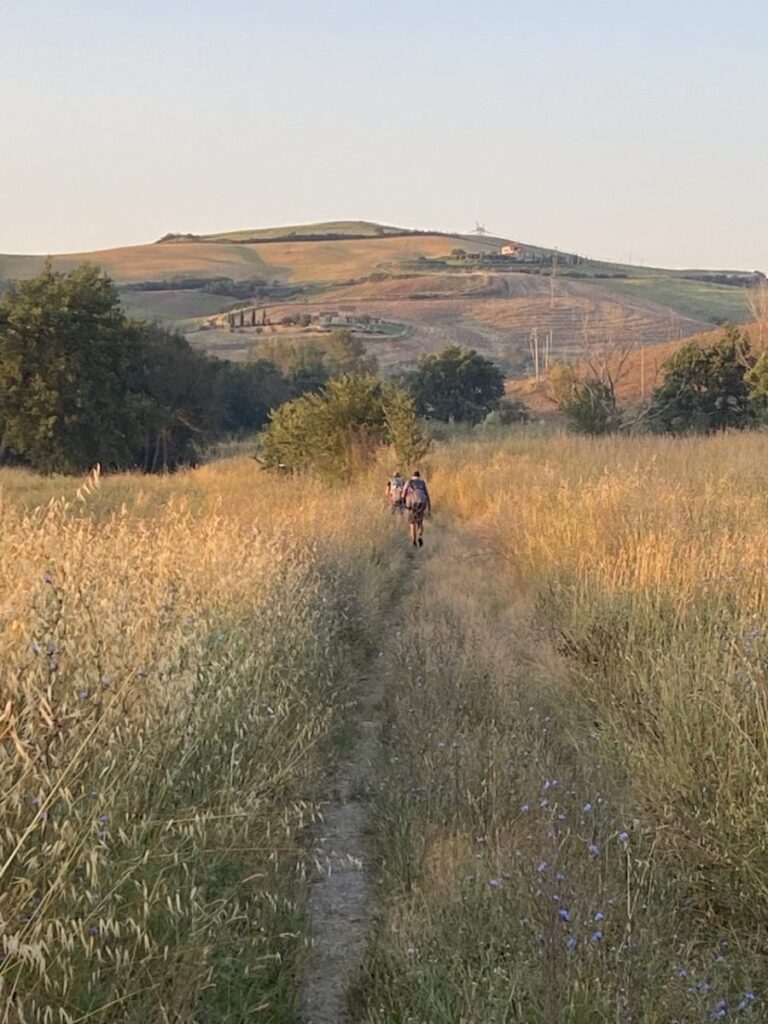 Day 4 Via Francigena (photo 15)