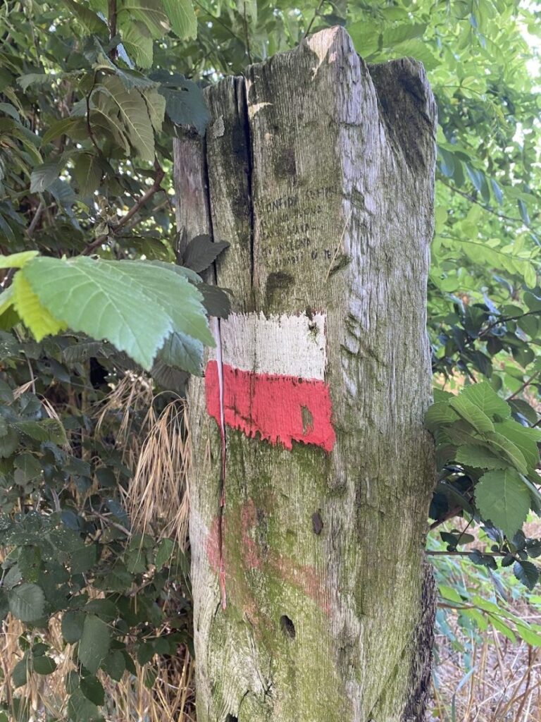 Day 8 Via Francigena (photo 14)