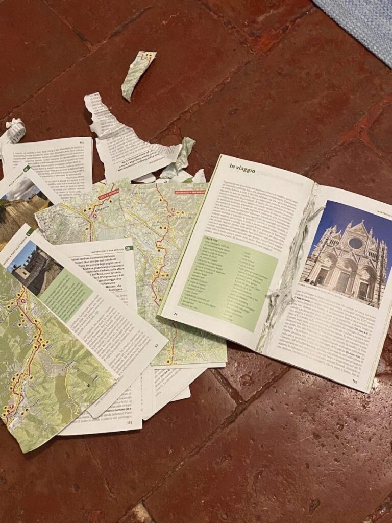 Day 1 Via Francigena (photo 15)