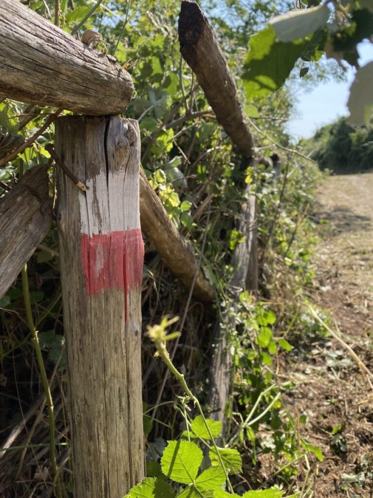 Day 6 Via Francigena (photo 30)