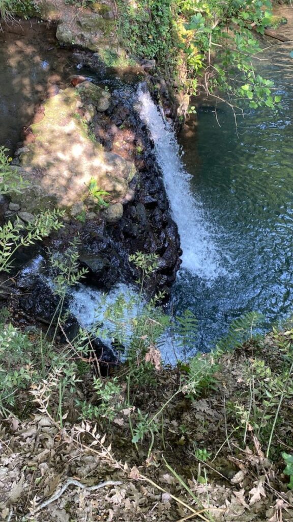 Day 7 Via Francigena (photo 33)