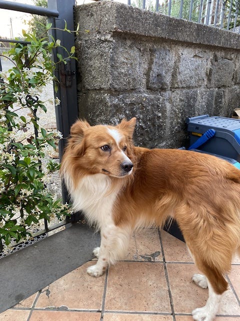 Day 7 Via Francigena (photo 5)