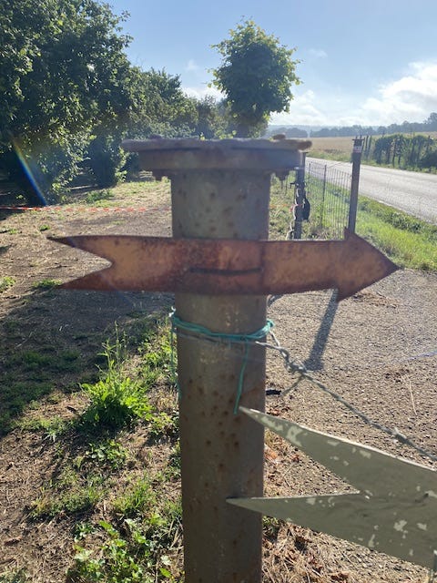 Day 10 Via Francigena (photo 42)