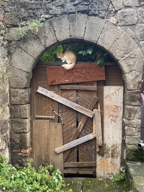 Day 8 Via Francigena (photo 7)
